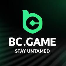 Understanding the BC.Game Login Process for Seamless Gaming